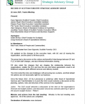 Strategic Advisory Group minutes - 22 June 2021